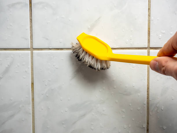 Best Best Mold Removal Companies  in Tarrant, AL
