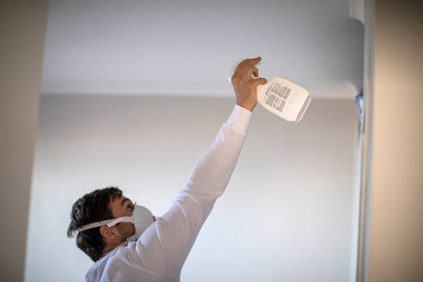 Trusted Tarrant, AL Mold Removal Experts