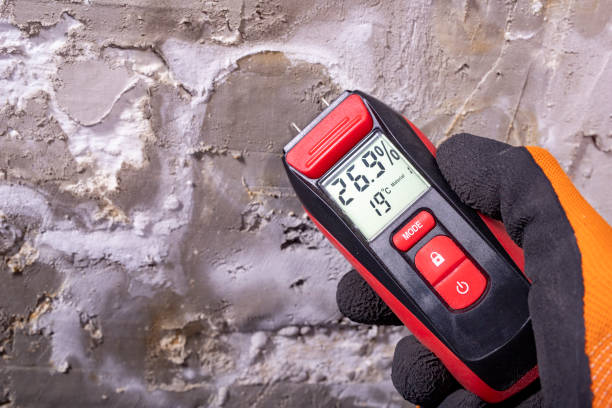 Best Mold Inspection  in Tarrant, AL